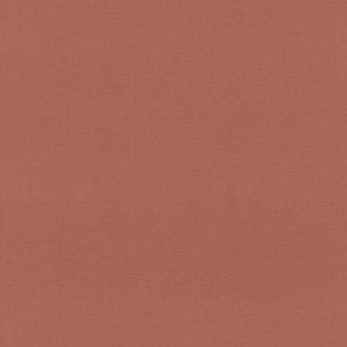692730 Обои Rasch (1*12) 10,05x0,53 винил на флизелине