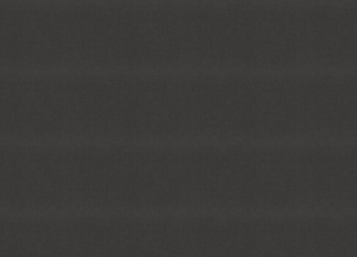 990423 Обои Rasch (1*6) 10,05x1,06 винил на флизелине — изображение 3