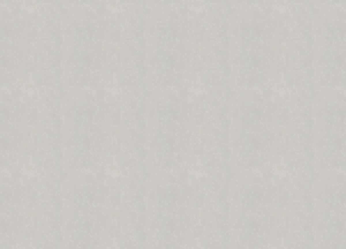 R 25501 Обои Fipar (1*4) 10,05х1,06 винил на флизелине — изображение 2