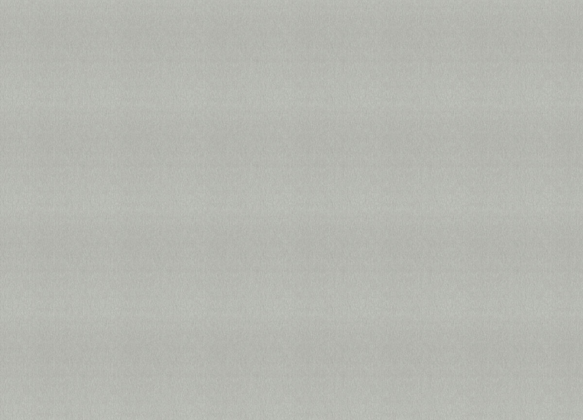 978445 Обои Rasch (1*6) 10,05x1,06 винил на флизелине — изображение 2