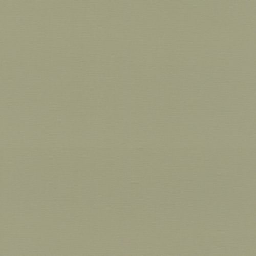 692709 Обои Rasch (1*12) 10,05x0,53 винил на флизелине