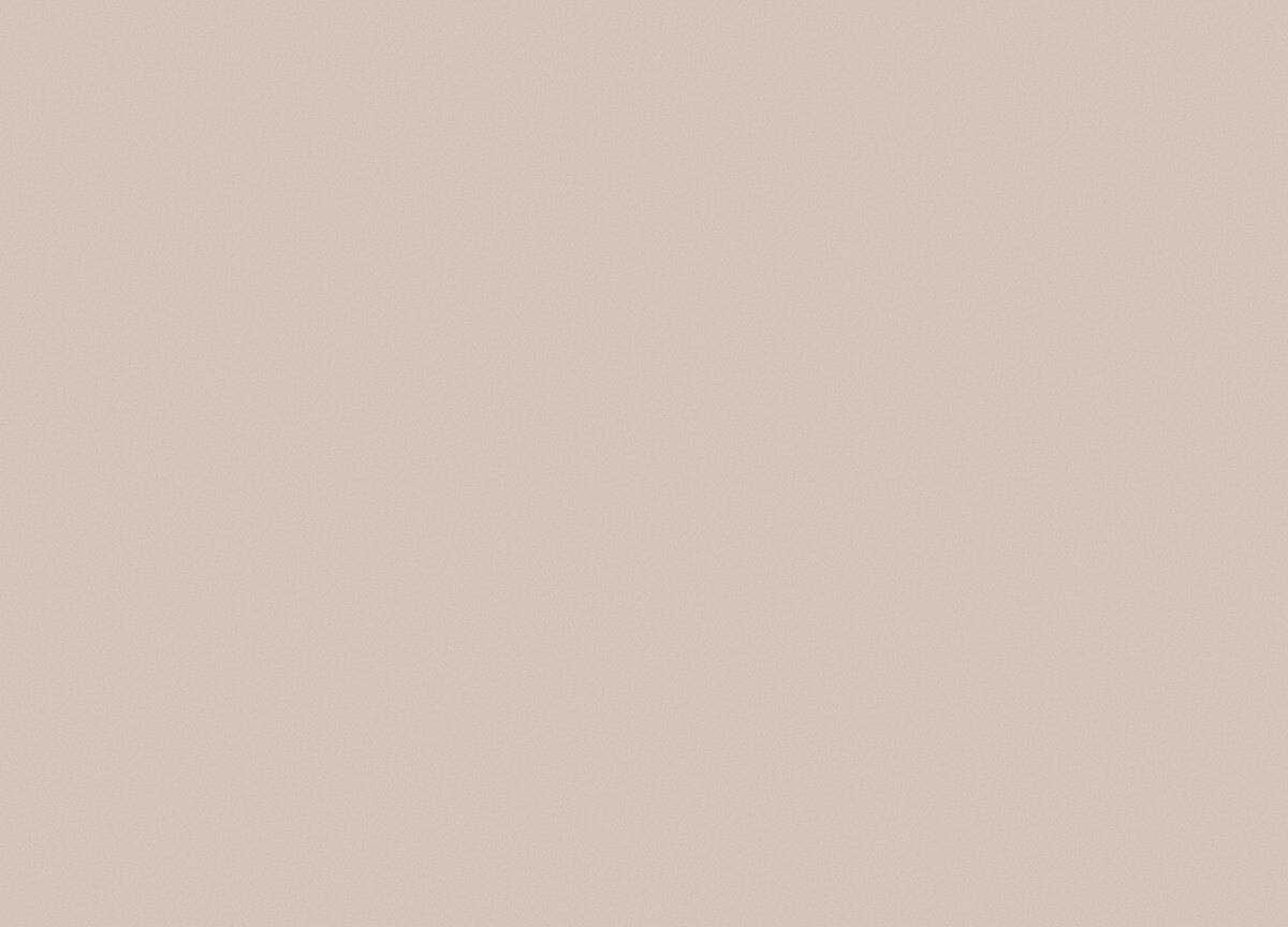 MIR3 004 Обои HYGGE Roll (1*6) 10,05x1,00 флизелин — изображение 2