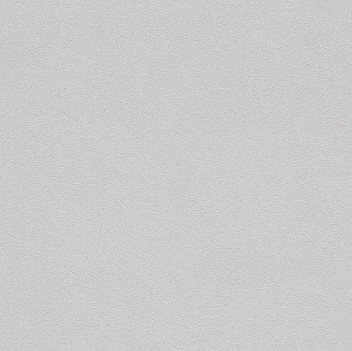479447 Обои Rasch (1*12) 10,05x0,53 винил на флизелине