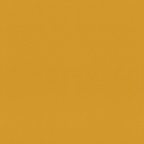687552 Обои Rasch (1*12) 10,05x0,53 винил на флизелине
