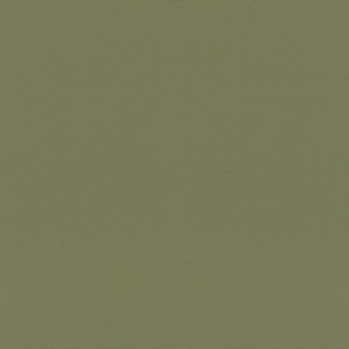 687538 Обои Rasch (1*12) 10,05x0,53 винил на флизелине
