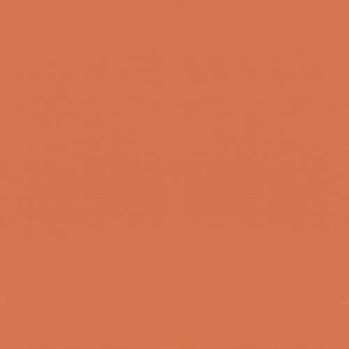 687569 Обои Rasch (1*12) 10,05x0,53 винил на флизелине