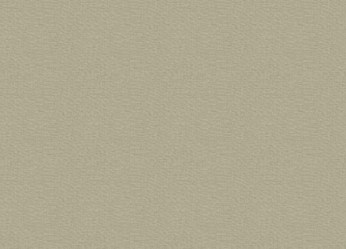 CO 1018 Обои Grandeco (1*6) 10,05х1,06 винил на флизелине — изображение 2