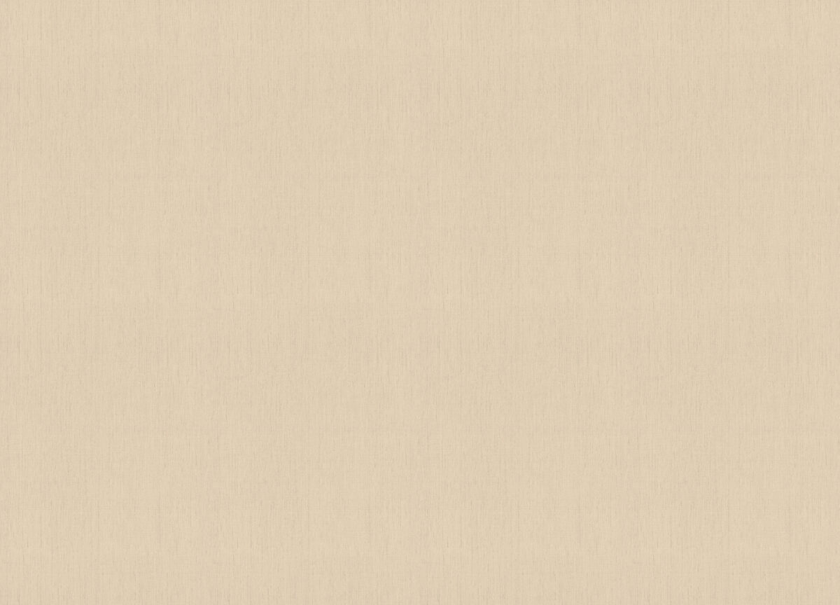 746037 Обои Rasch (1*12) 10,05x0,53 винил на флизелине — изображение 2