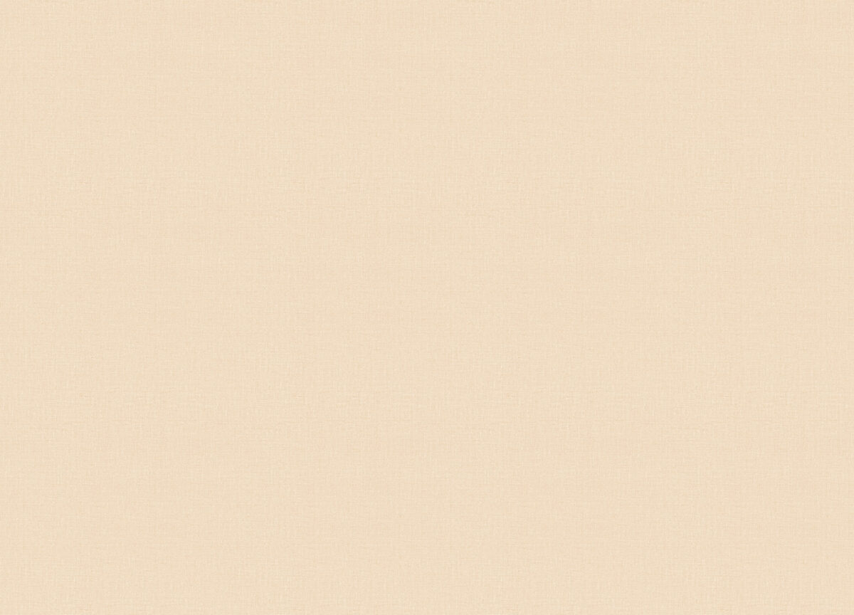 15512 Обои Zambaiti (1*6) 10,05x0,53 винил на флизелине — изображение 2