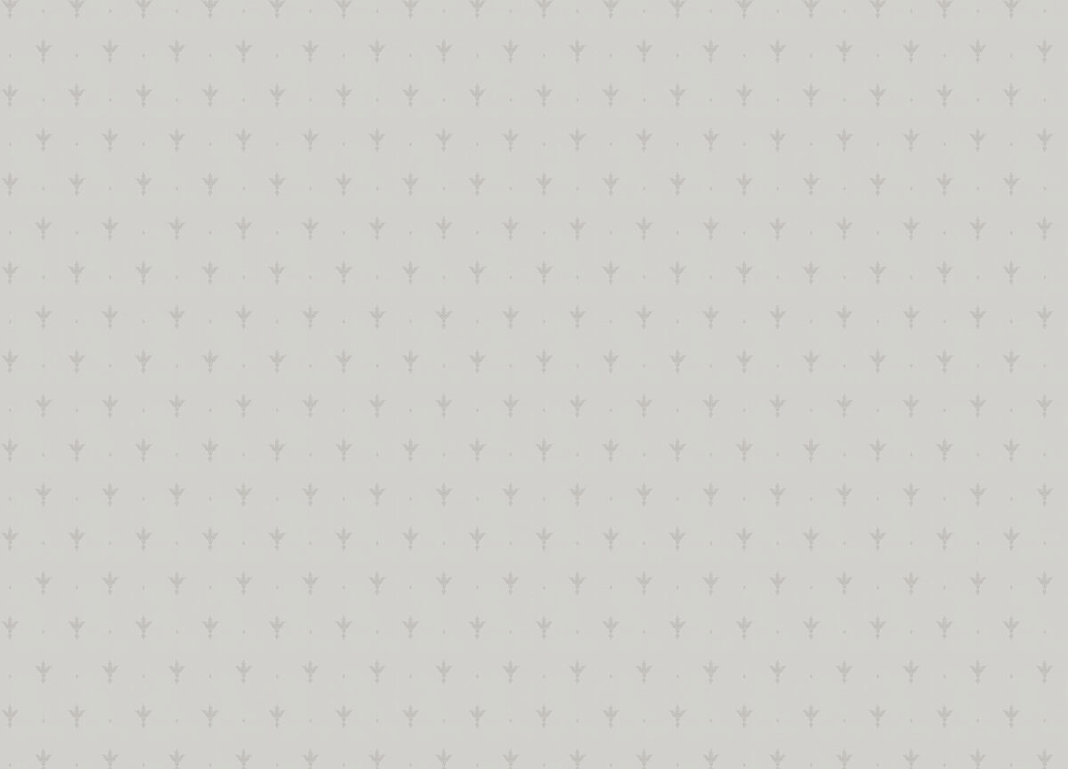 Z66847 Обои Zambaiti (1*12) 10,05х0,53 винил на флизелине — изображение 2