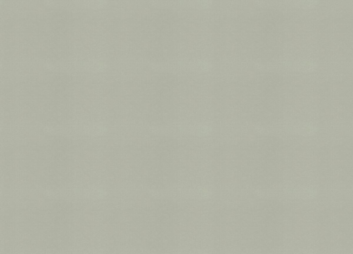 971422 Обои Rasch (1*6) 10,00x1,06 винил на флизелине — изображение 2