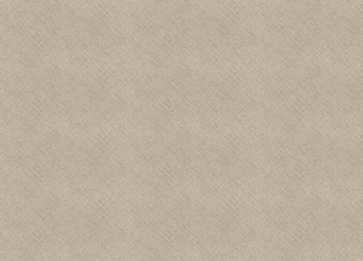 970982 Обои Rasch (1*6) 10,00x1,06 винил на флизелине — изображение 2