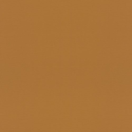 688054 Обои Rasch (1*12) 10,05x0,53 винил на флизелине