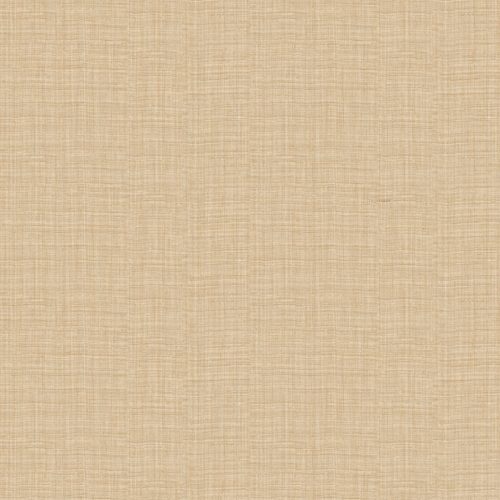 Z30329 Обои Zambaiti (1*6) 10,05x0,70 винил на флизелине