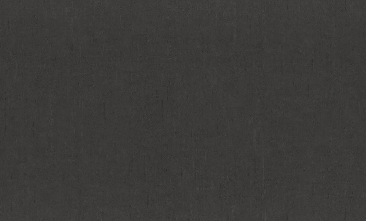 990423 Обои Rasch (1*6) 10,05x1,06 винил на флизелине