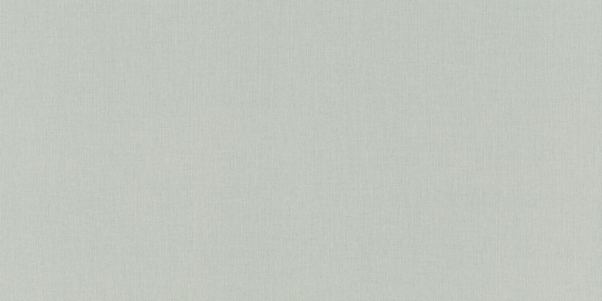 960792 Обои Rasch (1*6) 10,05x1,06 винил на флизелине