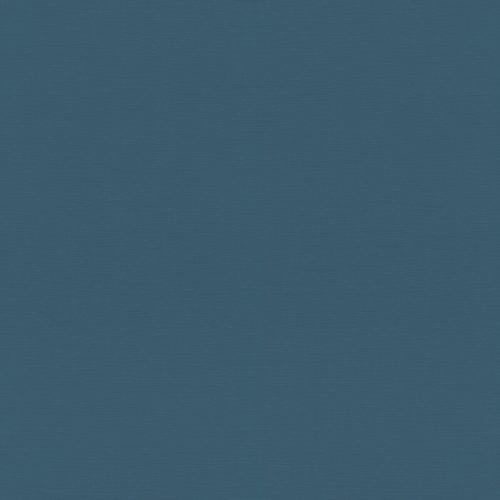 688016 Обои Rasch (1*12) 10,05x0,53 винил на флизелине