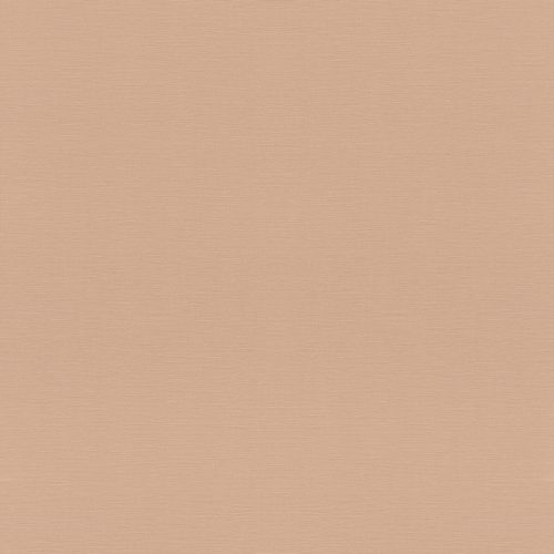 687576 Обои Rasch (1*12) 10,05x0,53 винил на флизелине