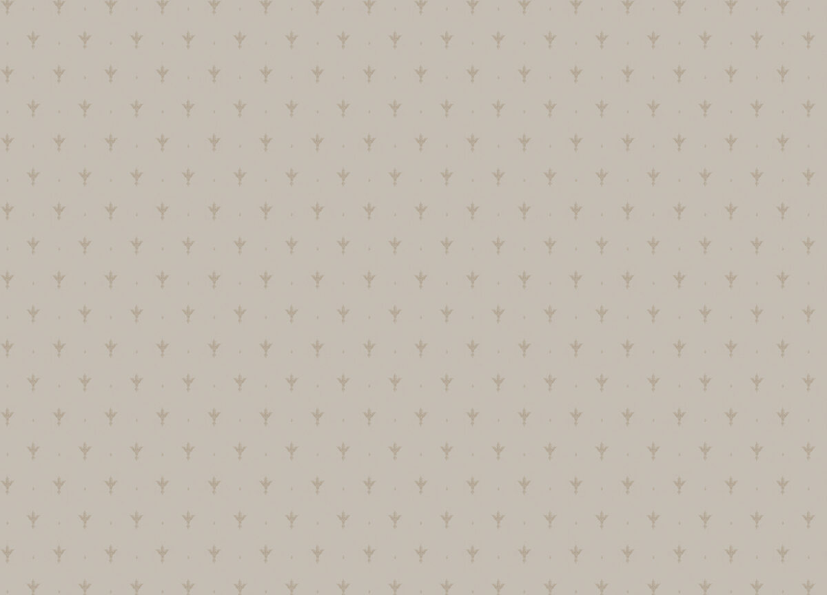 Z66849 Обои Zambaiti (1*12) 10,05х0,53 винил на флизелине — изображение 2