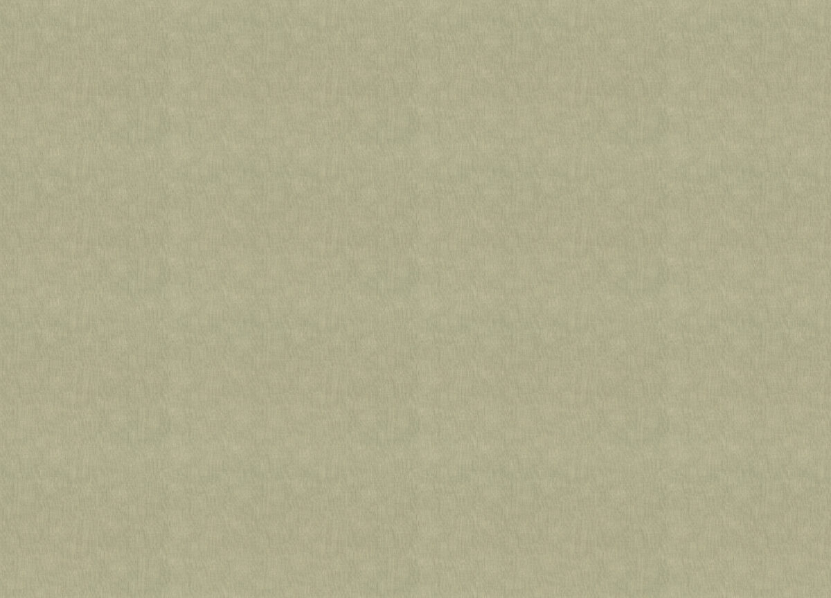 944013 Обои Rasch (1*6) 10,00 x1,06 винил на флизелине — изображение 3