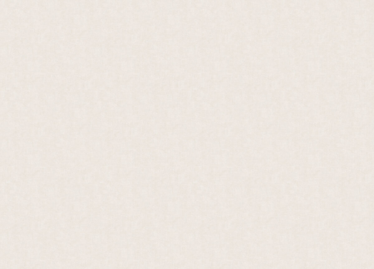 15528 Обои Zambaiti (1*6) 10,05x0,53 винил на флизелине — изображение 2