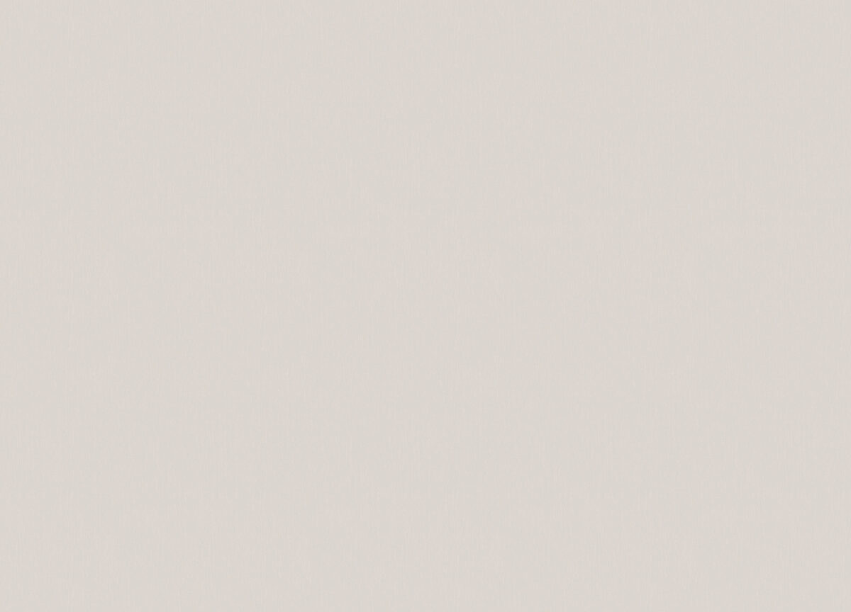 R 25534 Обои Fipar (1*4) 10,05х1,06 винил на флизелине — изображение 2