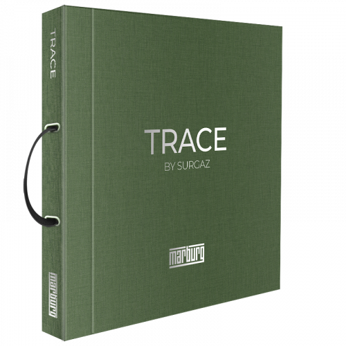 След/Trace