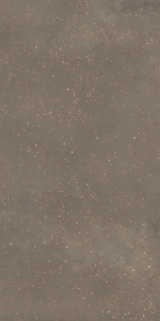 KM6012G1391R8 Пунтум коричневый матовый обрезной 60x119,5x0,8
