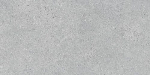 DL500720R Фондамента пепельный светлый обрезной 60x119,5x0,9