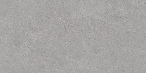 DL500820R Фондамента серый светлый обрезной 60x119,5x0,9