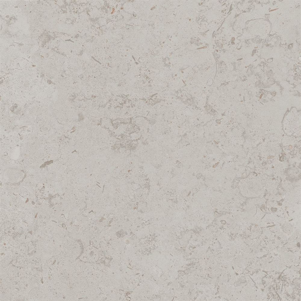 DD641020R Про Лаймстоун серый светлый натуральный обрезной 60x60x0,9