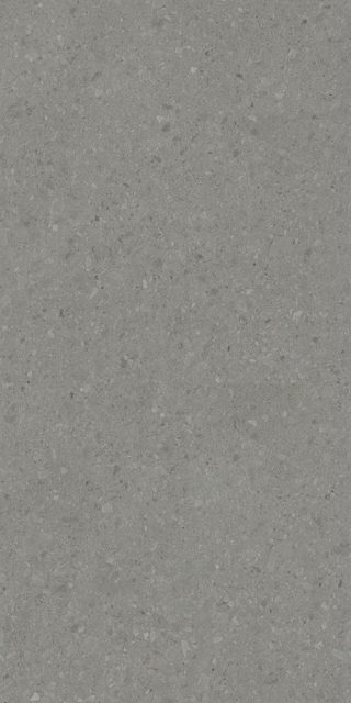 DD591520R Чеппо ди Гре серый тёмный матовый обрезной 119,5x238,5x0,9