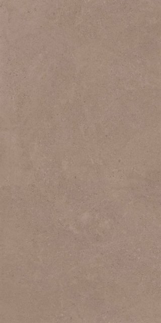 GO01 60x120x10 Непол.Рект. (Керамический гранит)