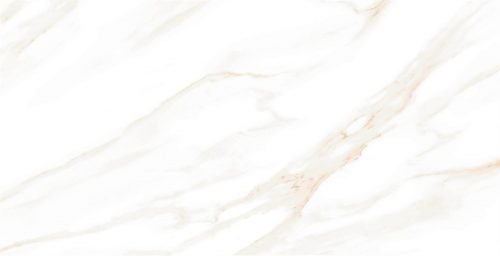 MOG102 60x120x9 Полир. (Керамический гранит) 46,08 м2