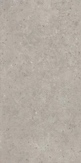SG519920R Риккарди серый светлый матовый обрезной 60х119,5x0,9 Орел (1,434)