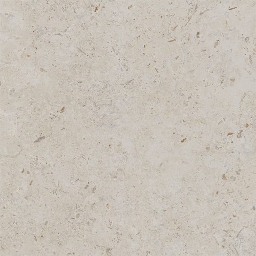 DD641120R Про Лаймстоун бежевый темный натуральный обрезной 60x60x0,9  (1,44)