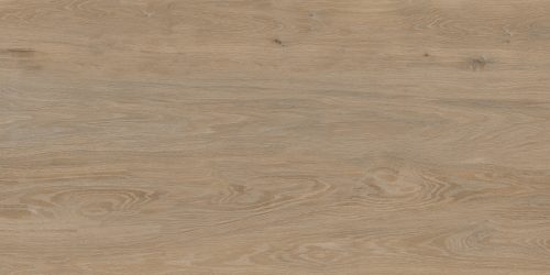 Forest Oak 60x120