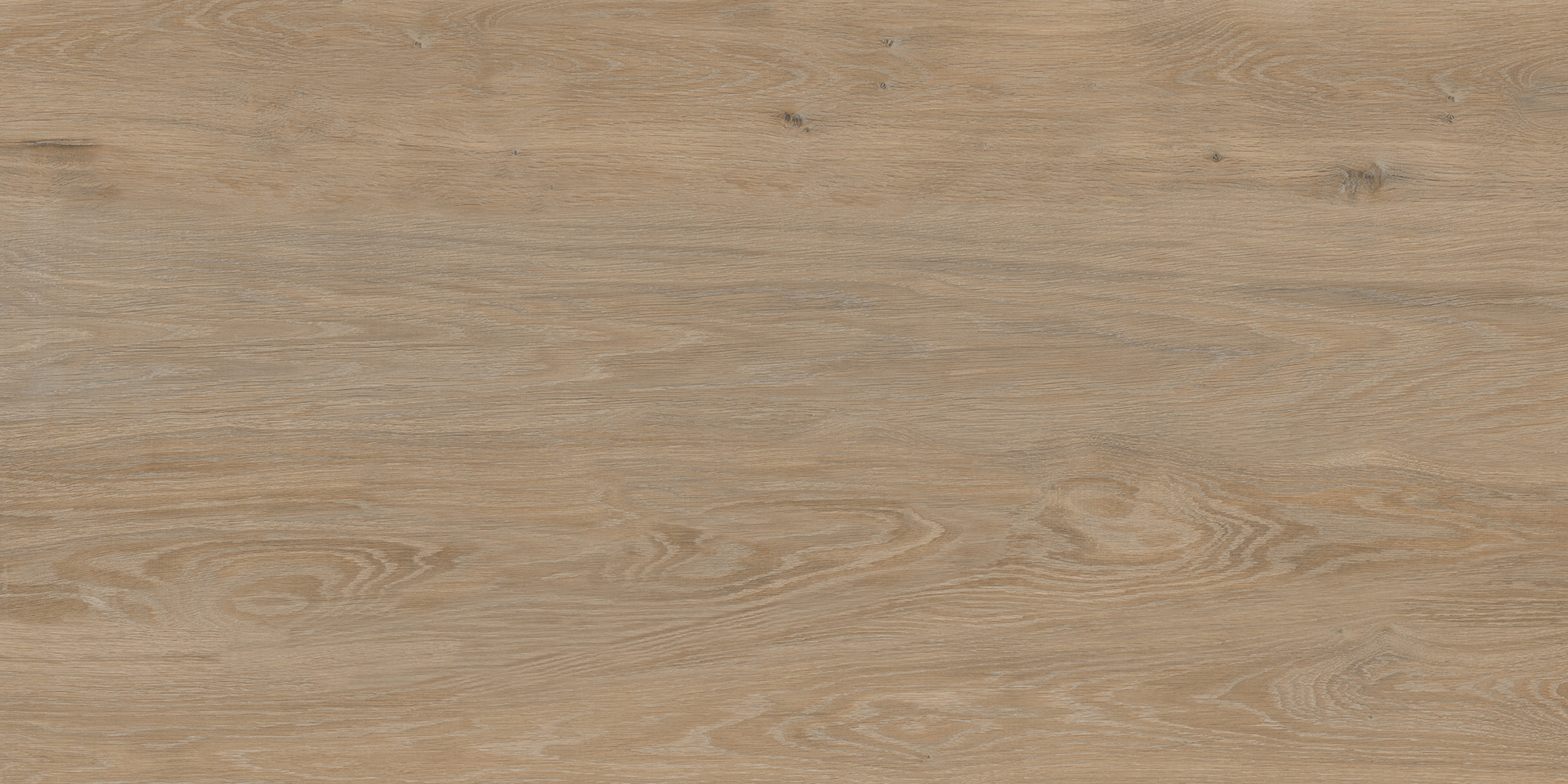Forest Oak 60x120