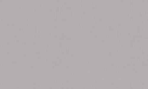 A101110 Обои ARTSIMPLE (1*6) 10,00x1,06 винил на флизелине