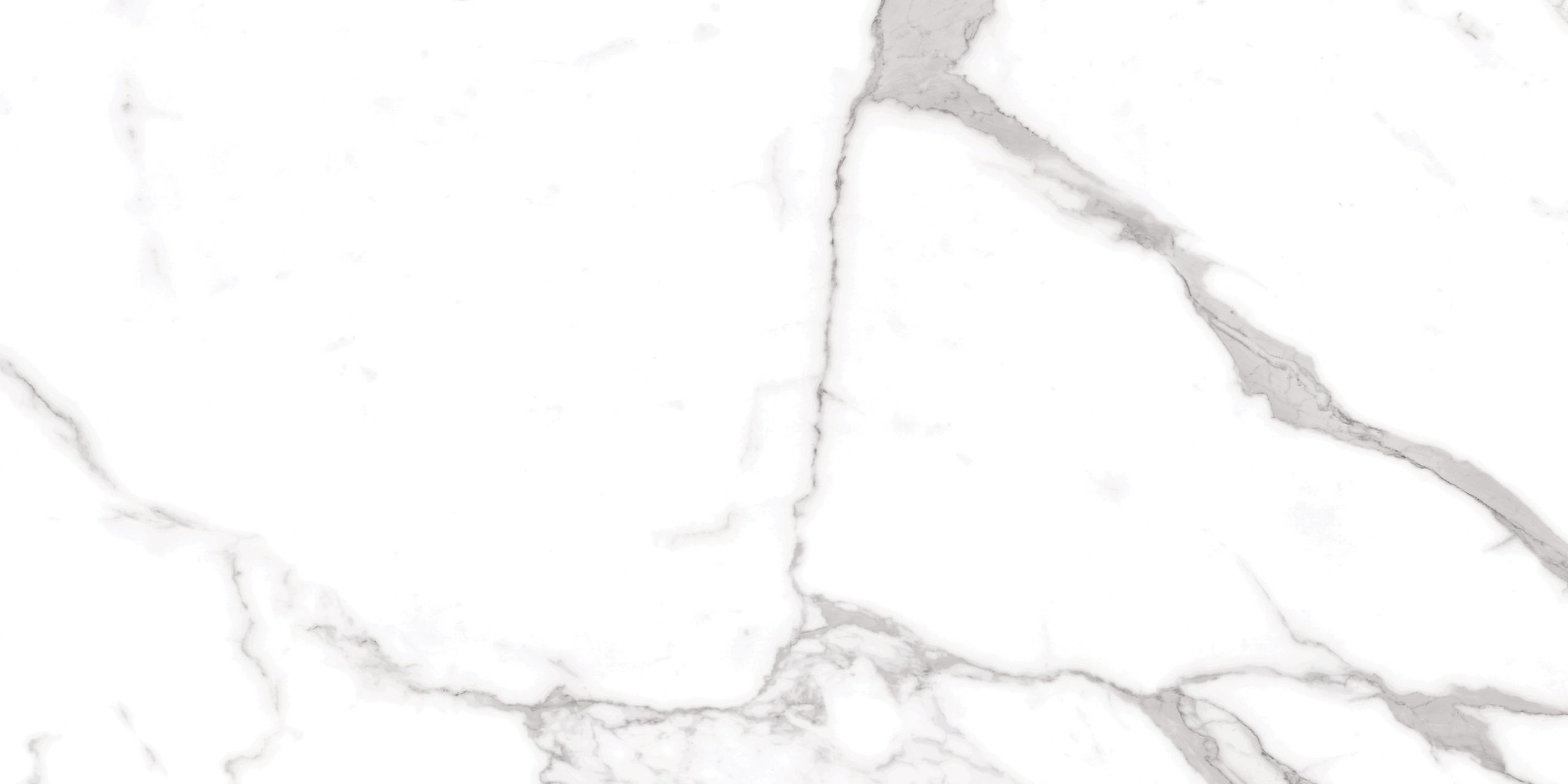 Statuario Fantastico Sugar 60x120