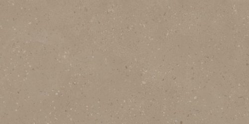RO01 60x120x9 Непол.Рект. (Керамический гранит)