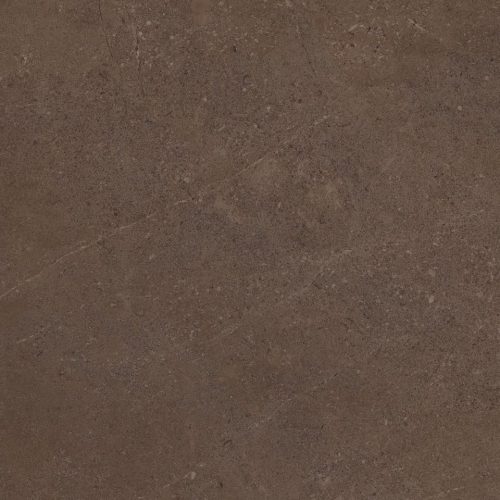 GO03 60x60x9 Непол.Рект. (Керамический гранит)