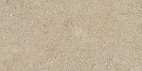 NP02 30,6x60,9x8 Непол. (Керамический гранит)