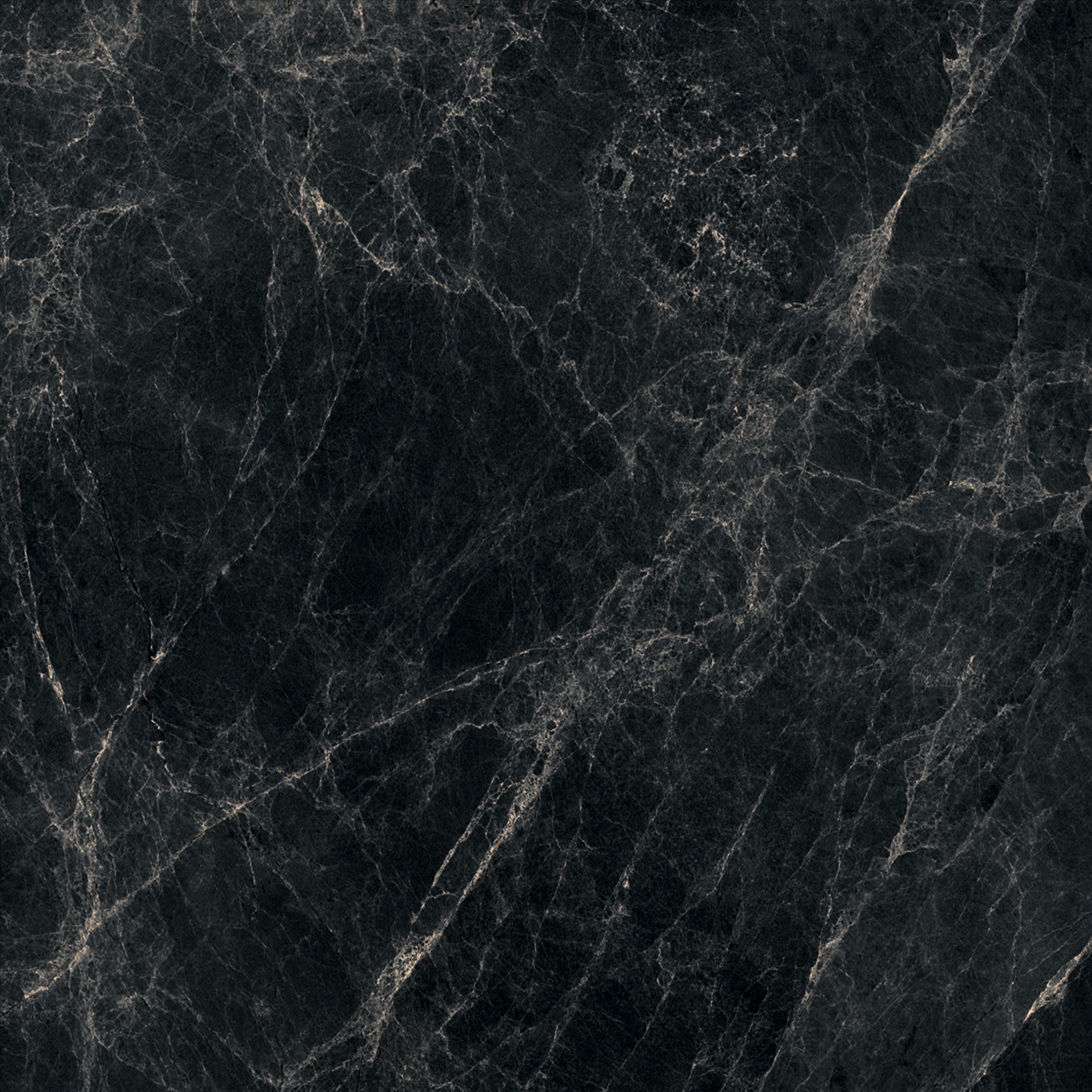 Worner Black Sugar 60x60