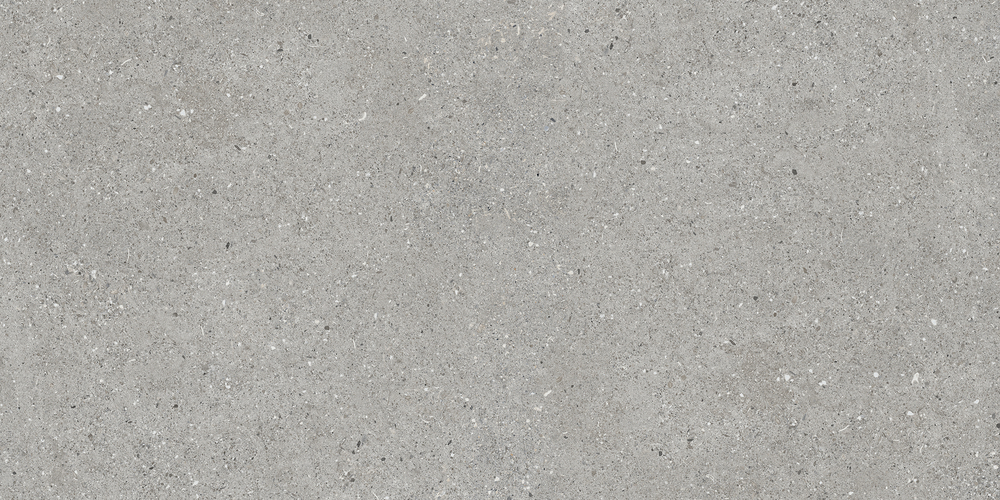 Ceppo Gris Carving 60x120 — изображение 3