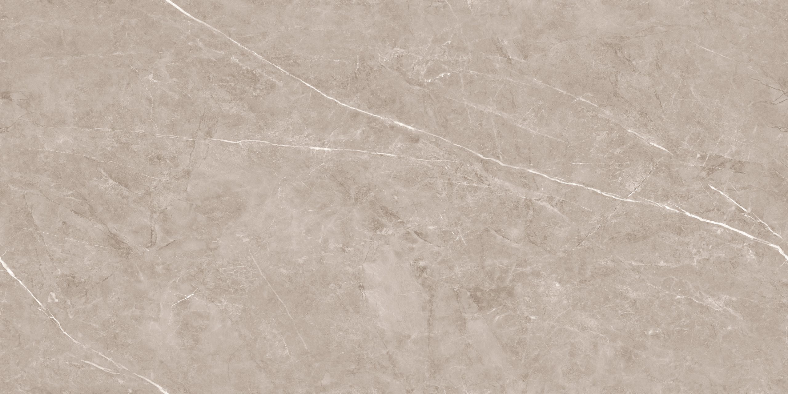Flurry Taupe Carving 60x120 — изображение 3
