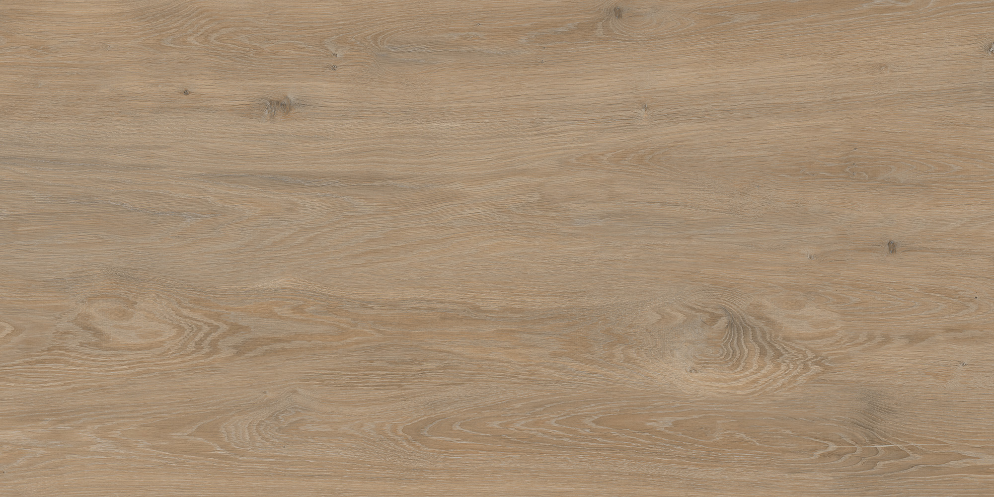 Forest Oak 60x120 — изображение 3