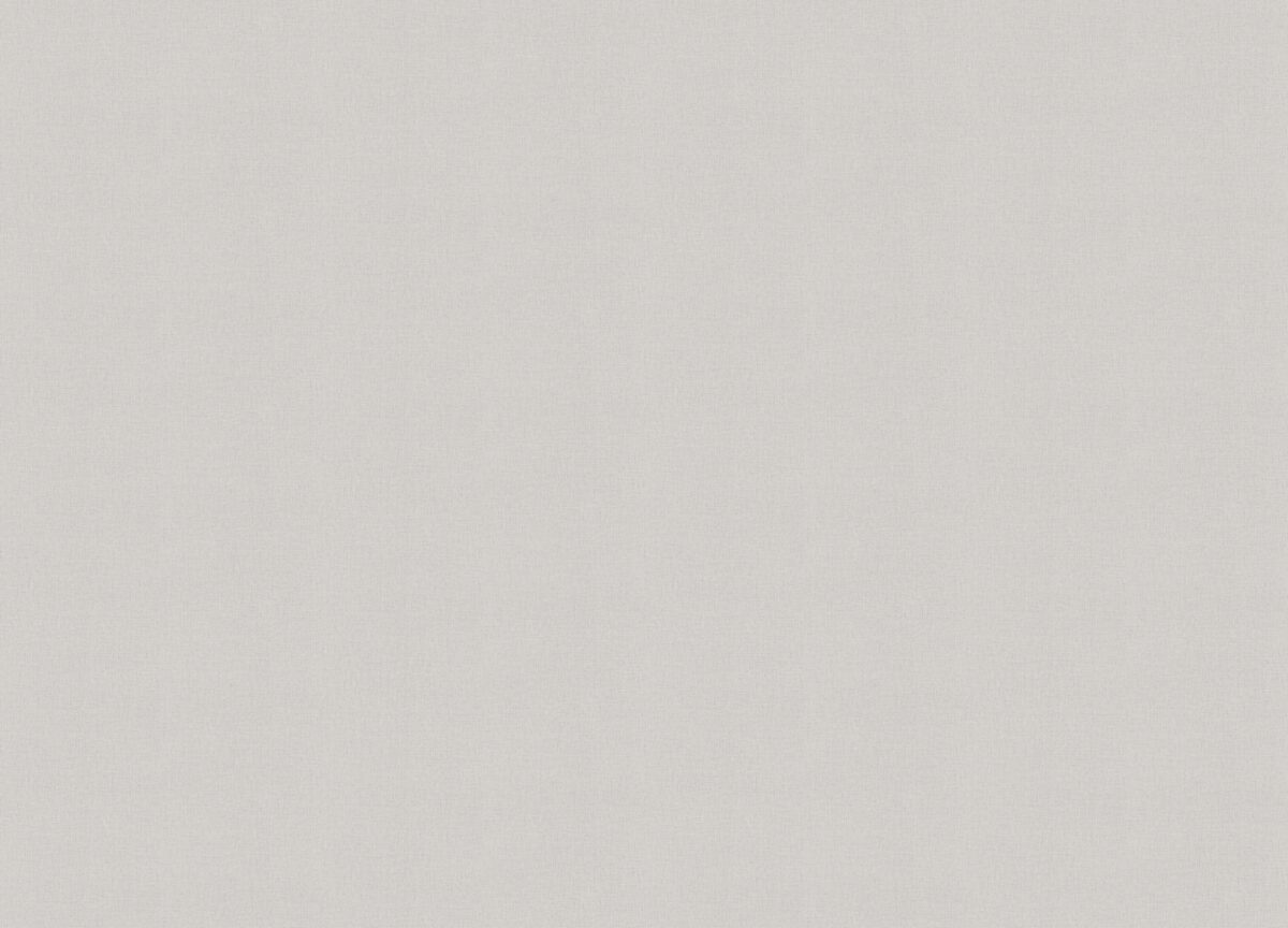 A101308 Обои ARTSIMPLE (1*6) 10,00x1,06 винил на флизелине — изображение 2
