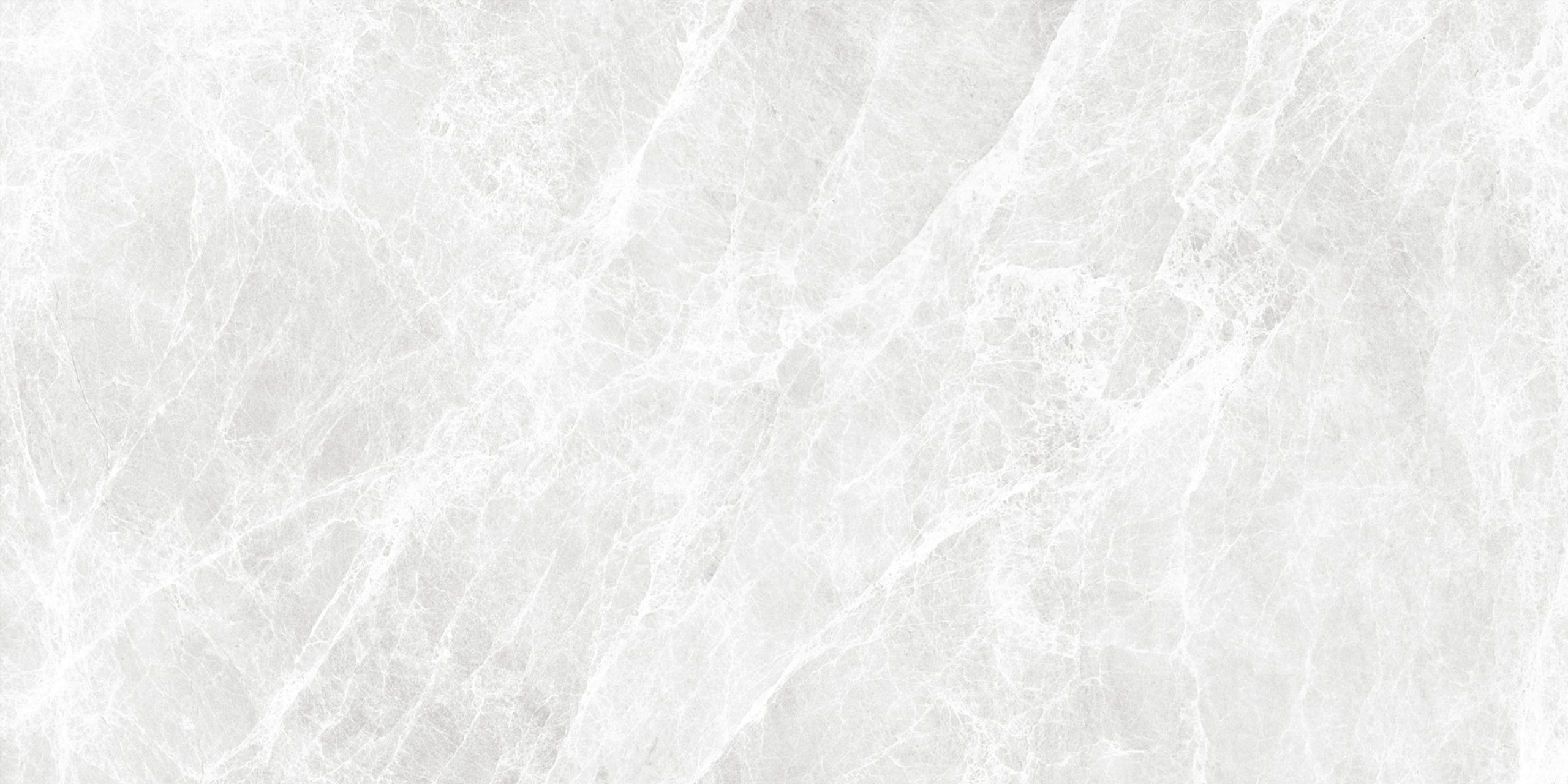 Worner White Sugar 60x120