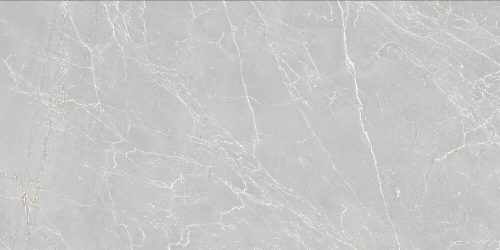 Eternal Grigio Carving 60x120